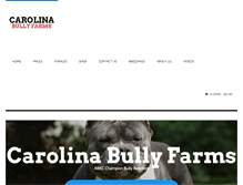 Tablet Screenshot of carolinabullyfarms.com